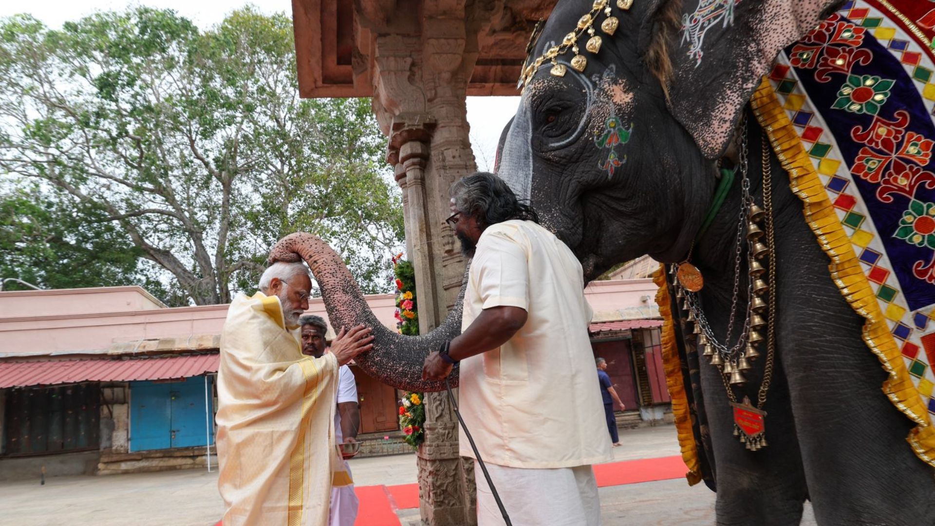 PM Modi Holds Roadshow, Takes Blessings From Elephant