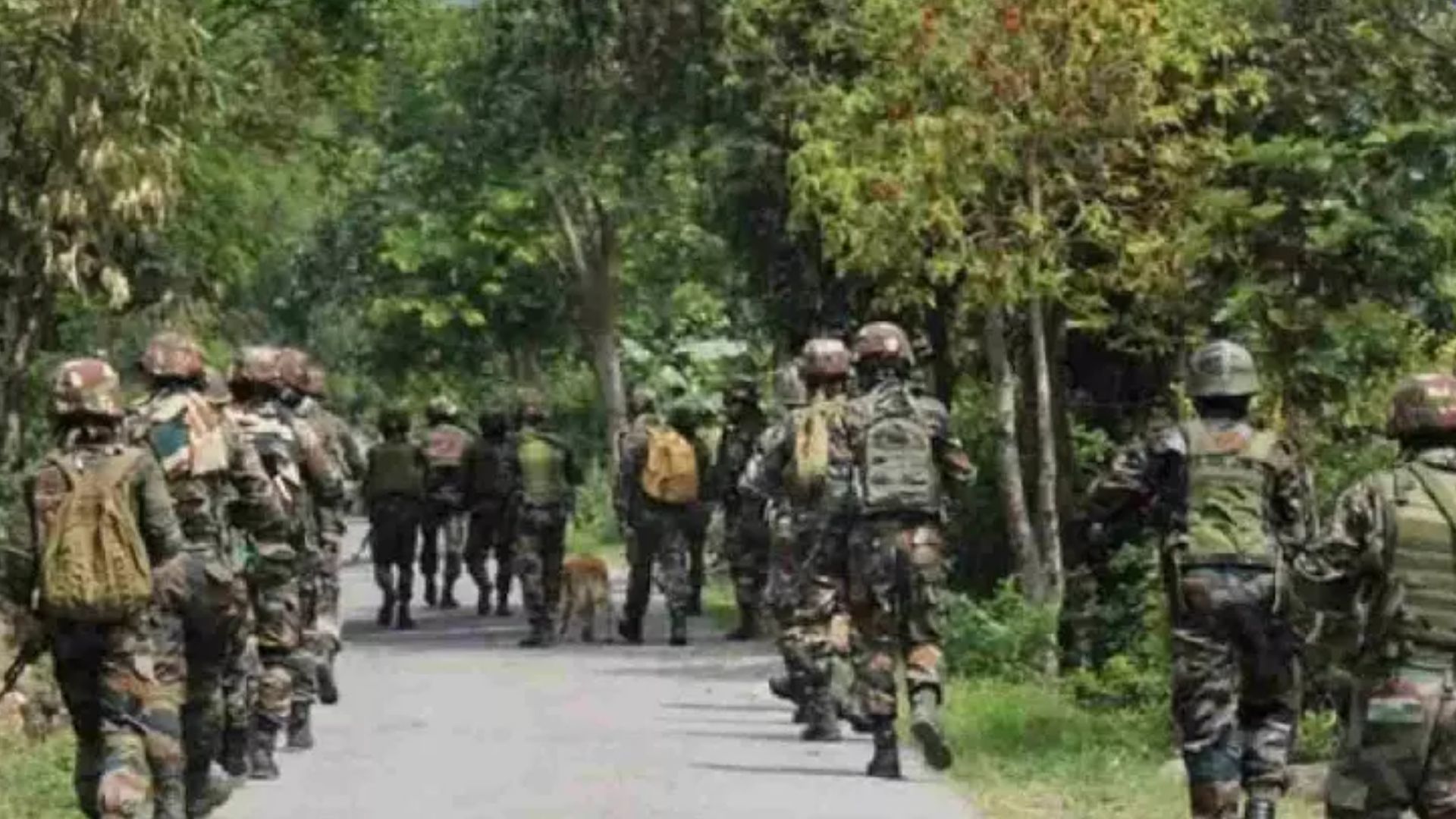 Manipur: Two Police Commandos Martyred, 3 BSF Jawans Injured in Separate Incidents