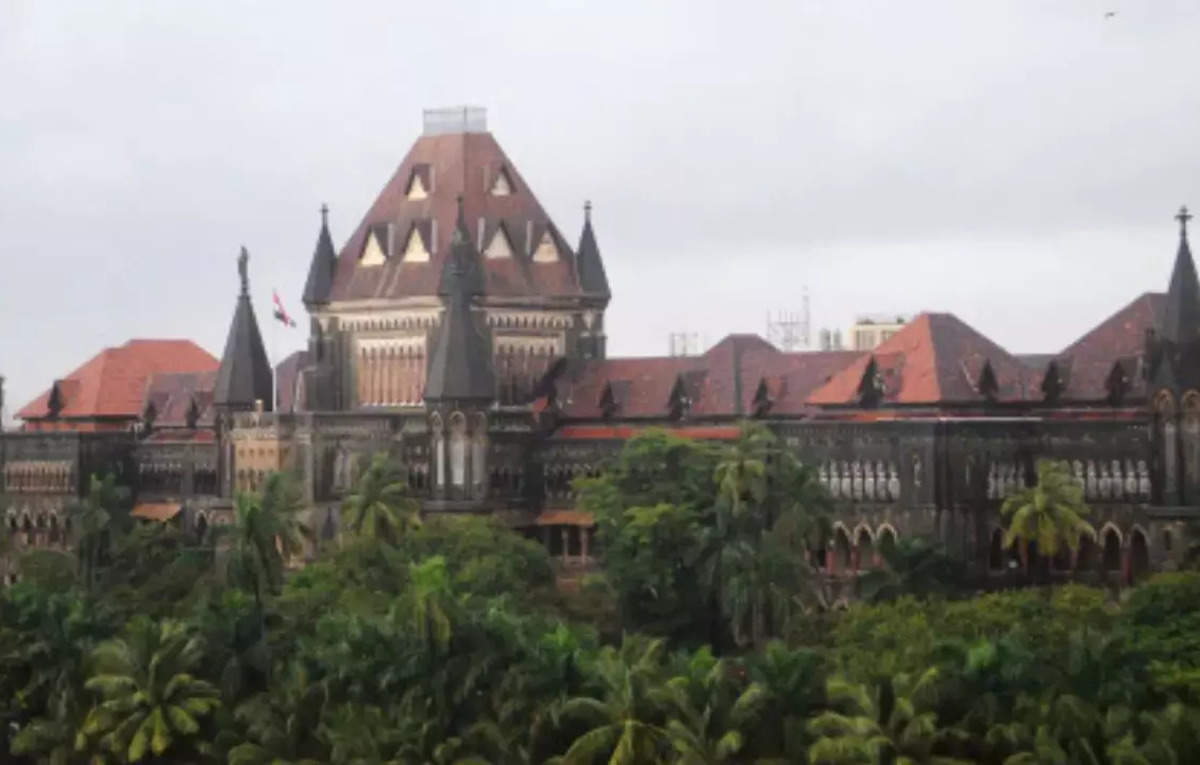 No relaxation of civil aviation safety norms even for project by public authority: Bombay HC