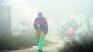 Haryana braces for extended Cold wave, Fog alerts across cities