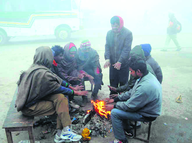 Red alert issued as cold wave grips 14 districts, fog hampers visibility