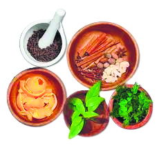 Ayurveda’s role in enhancing kidney health: A beacon in India’s medical tourism