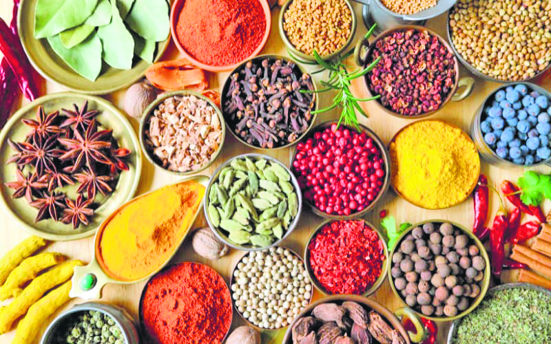 Journey of Spices in India