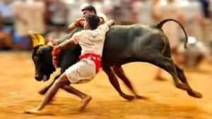 TN:Many People Injured In Jallikattu in Sivaganga district