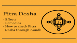 Pitra Dosha,The Ancestral Energy: What is it, How is it identified and remedies