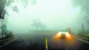 Fog paralyzes Haryana post-rainfall, near-zero visibility in Rewari and Jind