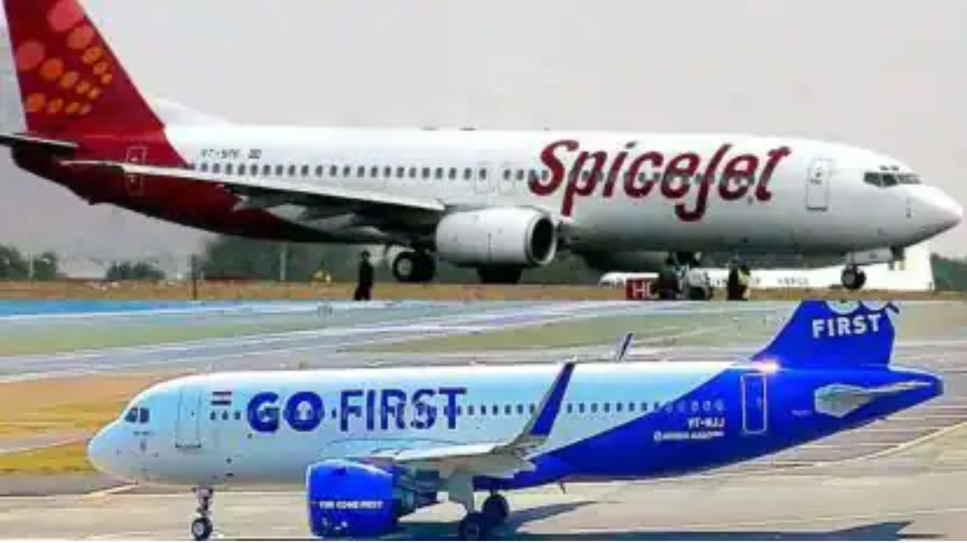 SpiceJet and Busy Bee submit bid for GoFirst