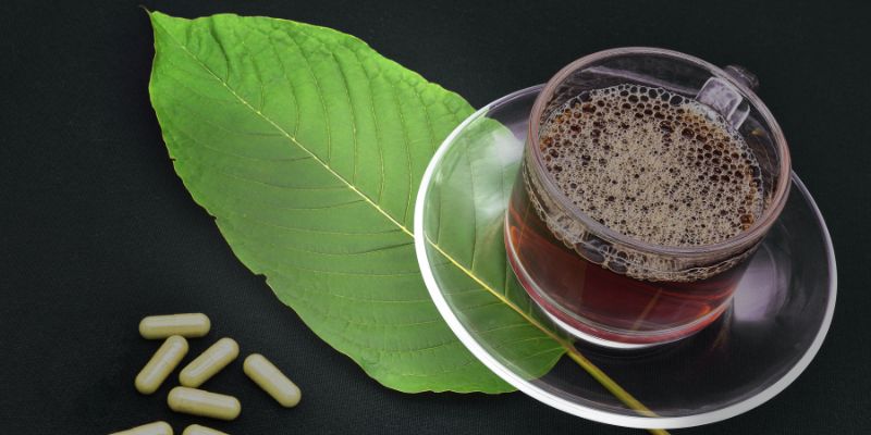 5 Delicious Kratom Recipes You Can Try Right Today