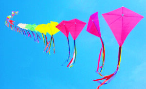 AN ARMY VETERAN’S PLEASURE OF KITE FLYING ON BASANT PANCHAMI