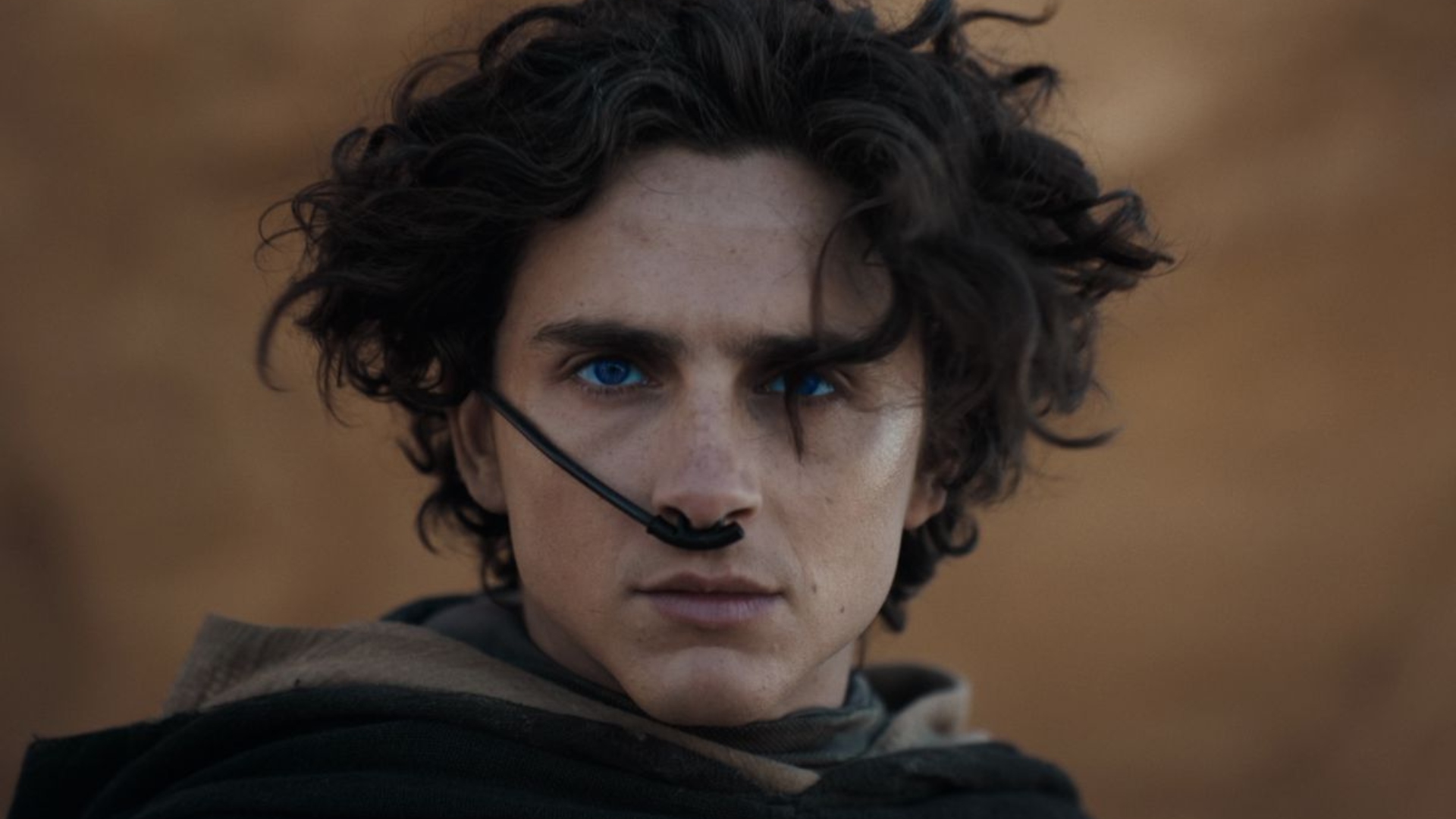 Dune 2 box office collection day 3: How much did Timothée Chalamet film earn on first Sunday?