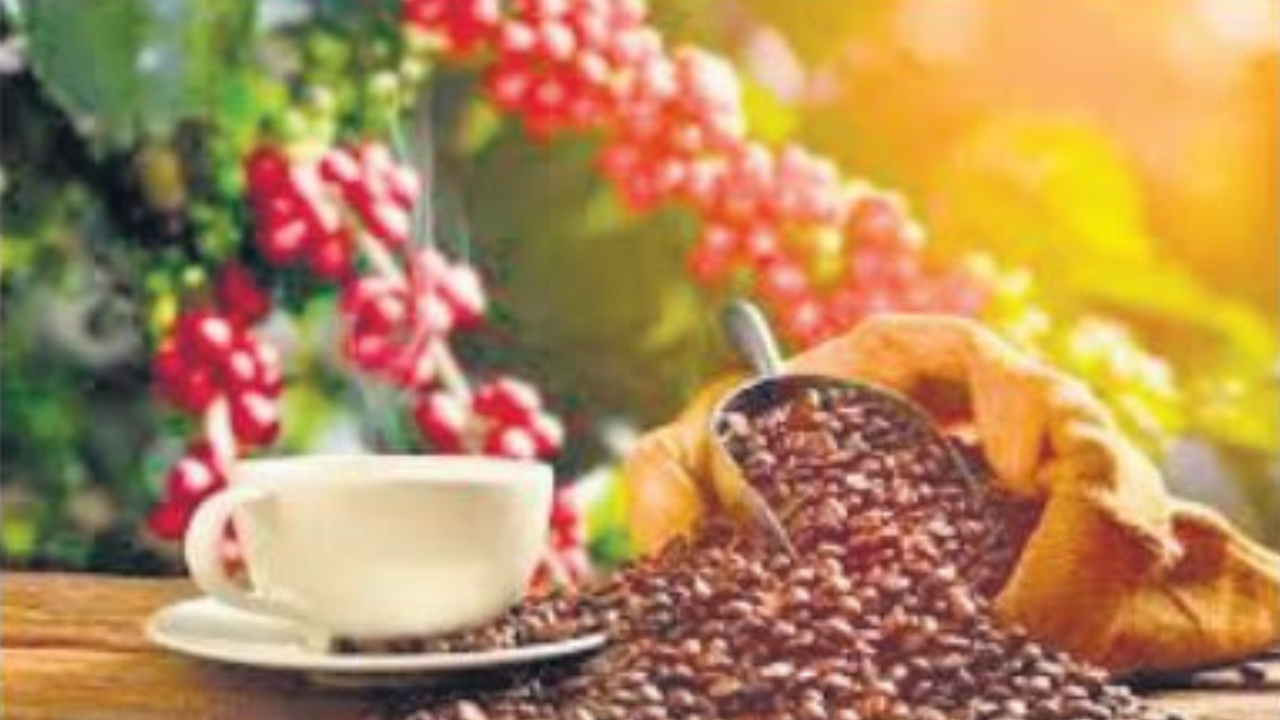 Beyond Trends: Health and wellness benefits of coffee