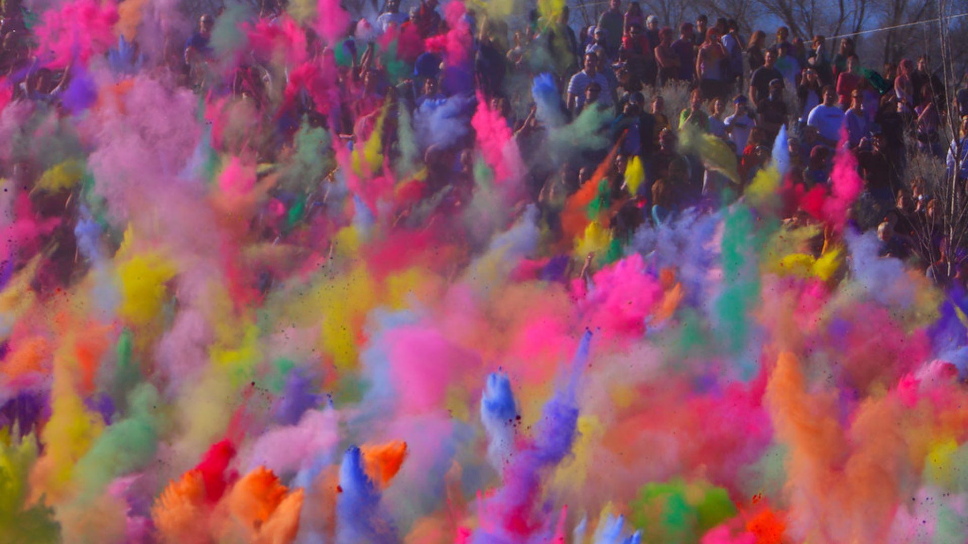 Festival Of Colors - Holi