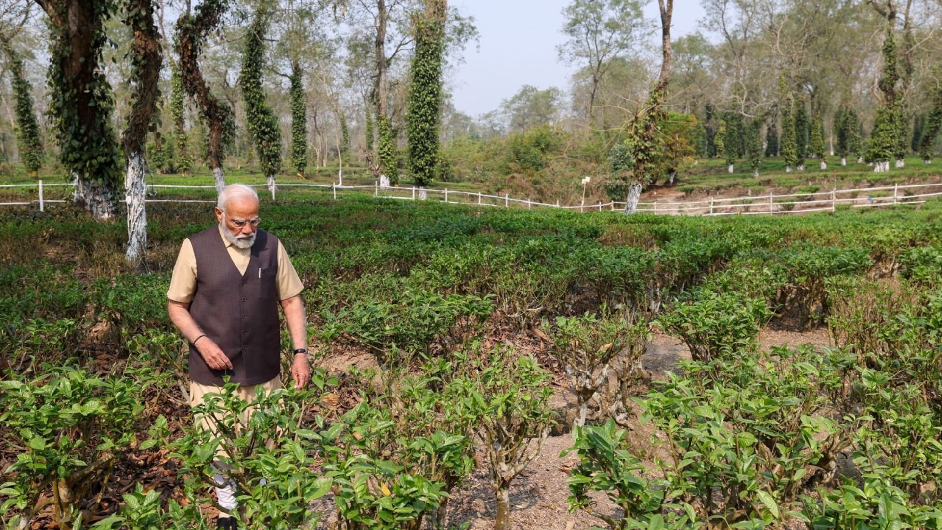 PM Modi spends time at tea garden in Assam, promotes tourism around it