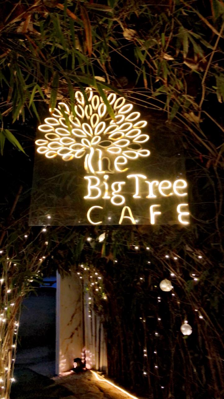 The Big Tree Café delivers grunge-chic vibes with delicious cuisine