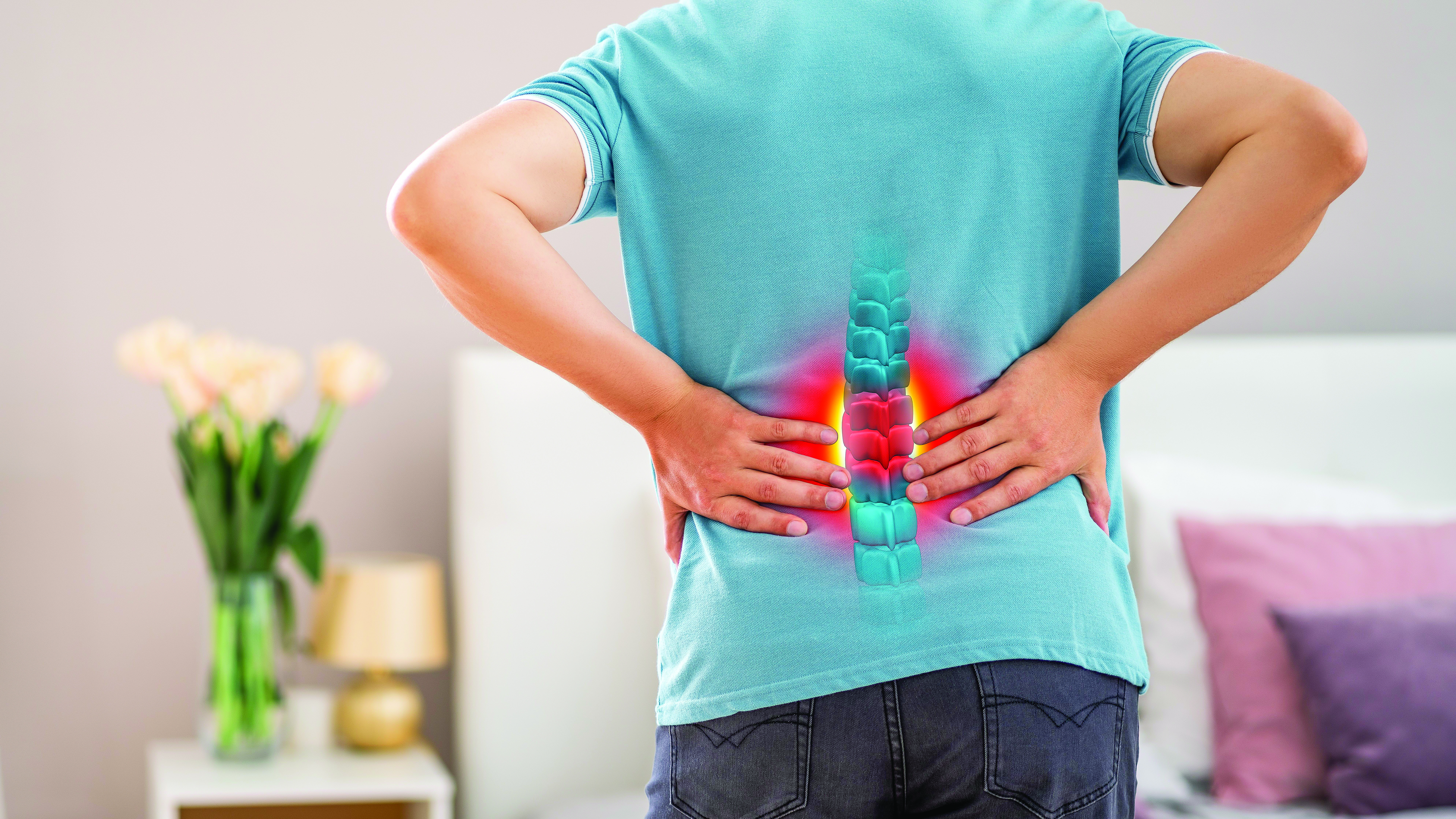 Understanding the role & risks of intervertebral discs in spinal
