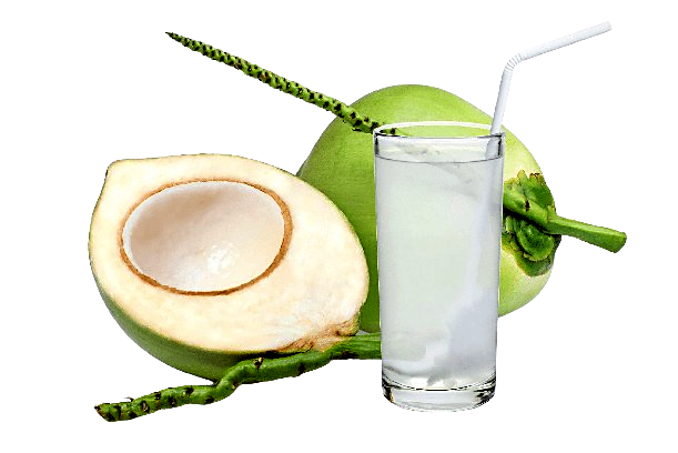 Embracing coconut water as a hydration companion during Navratri fasting