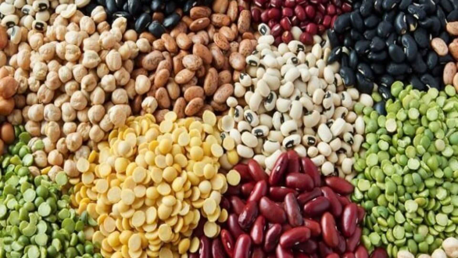 Indian import for pulses grew twofold in 2023-24, may rise further