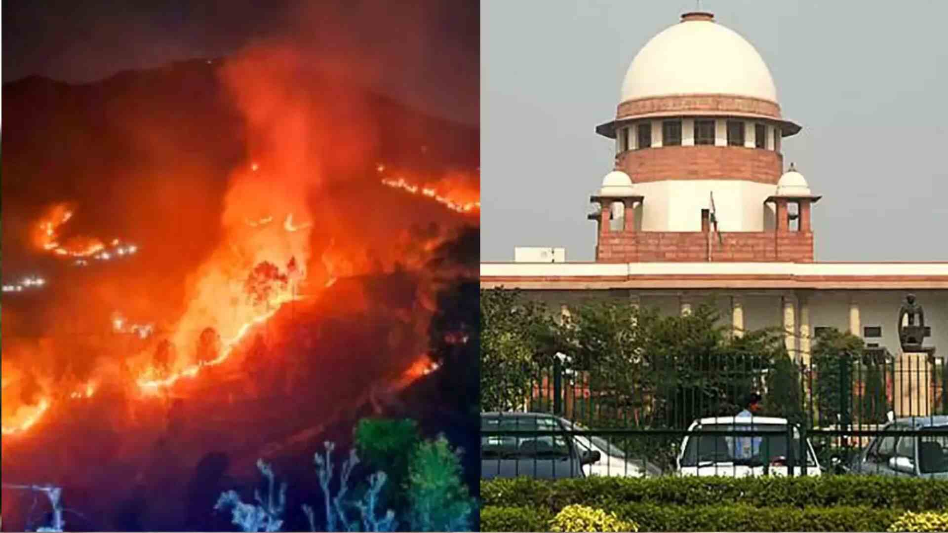 Forest Fire Petitions Pending for Three Years: Advocate Tells SC
