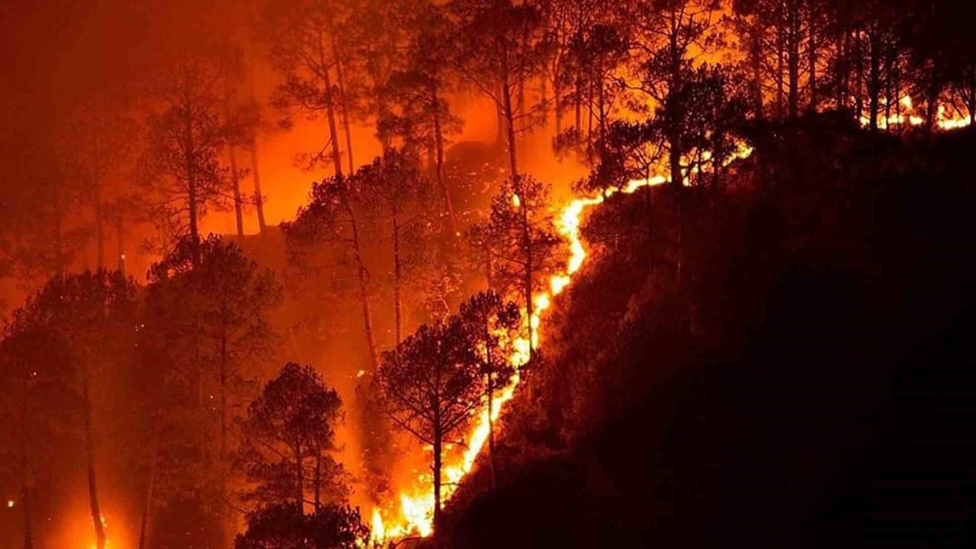 Uttarakhand Battles Driest April on Record amidst forest fires