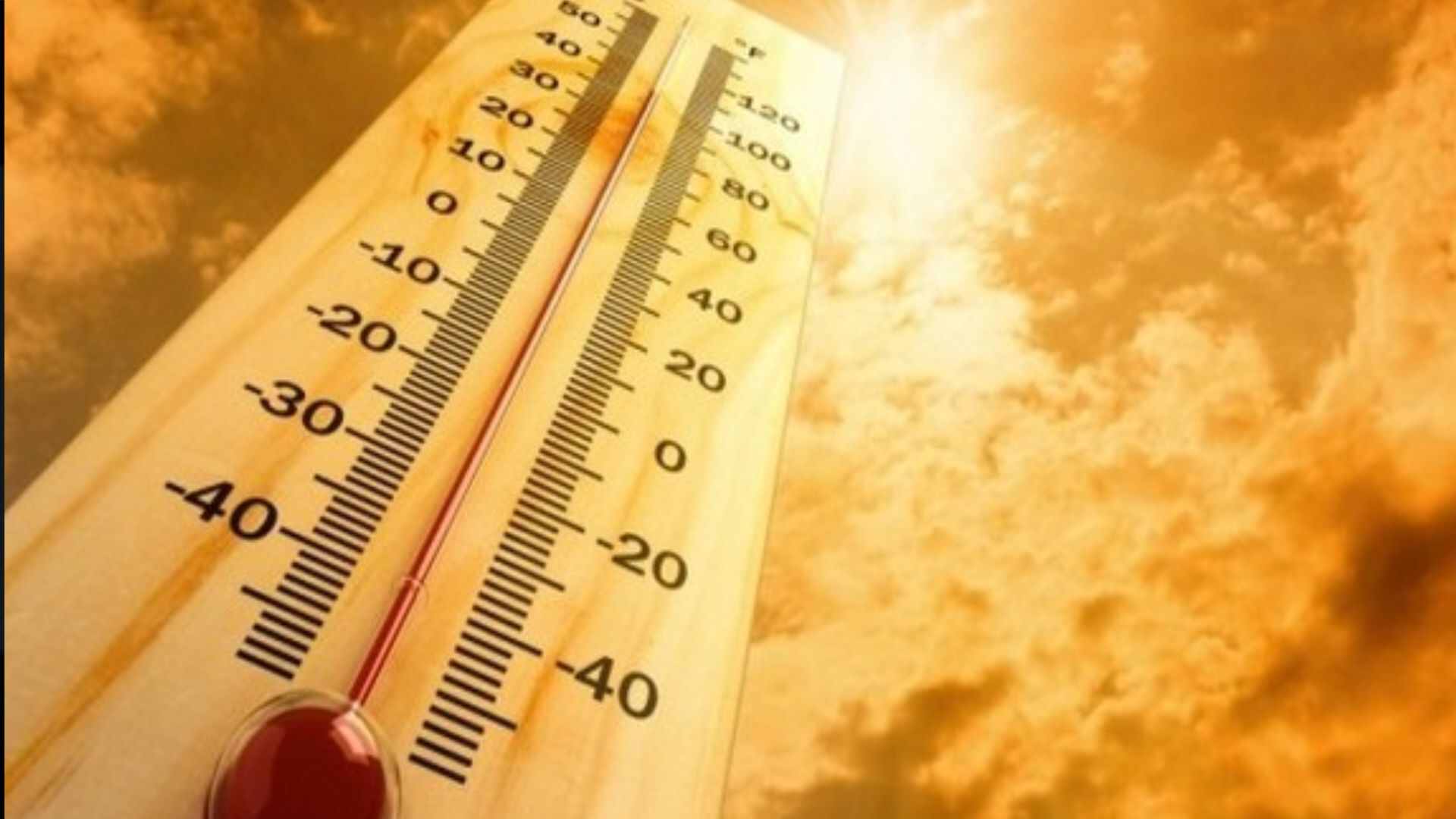 IMD has issued orange alert for Palakkad in Kerala  amid heatwaves