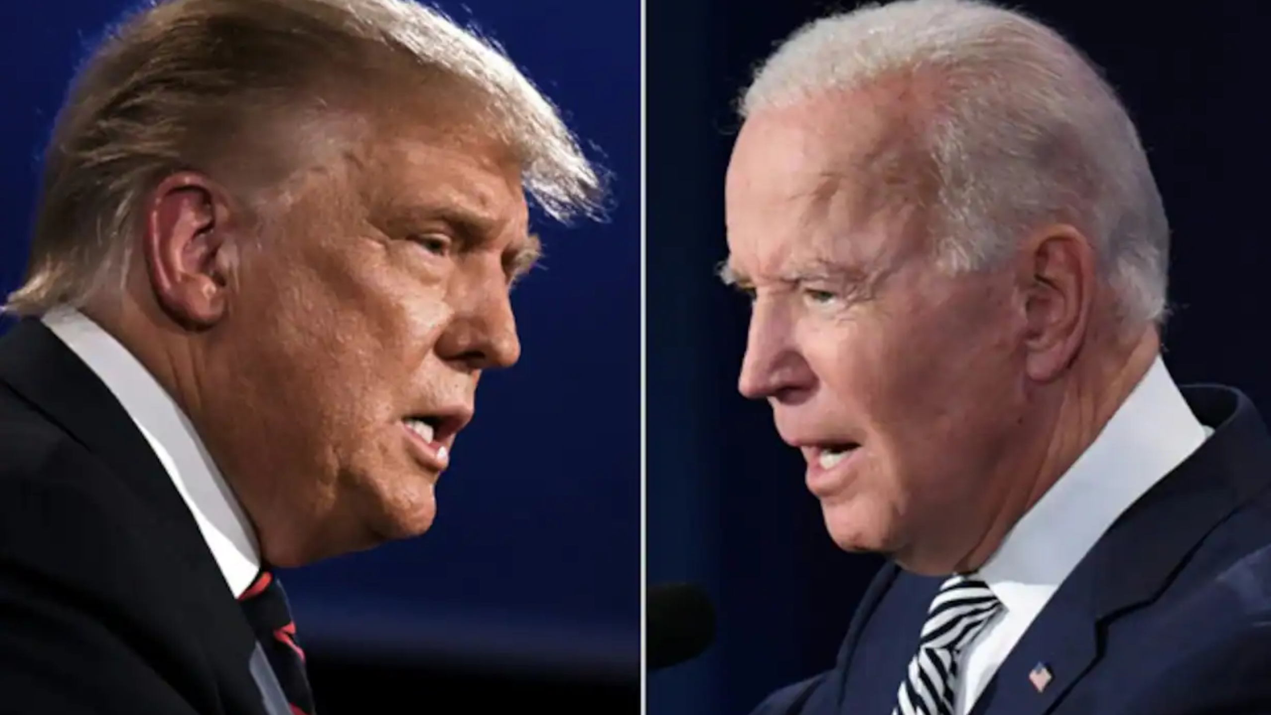Biden vs Trump: Who Will win the US Presidential Election in 2024?
