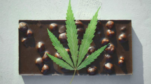 6 Foods That You Can Pair Your THC Chocolates With