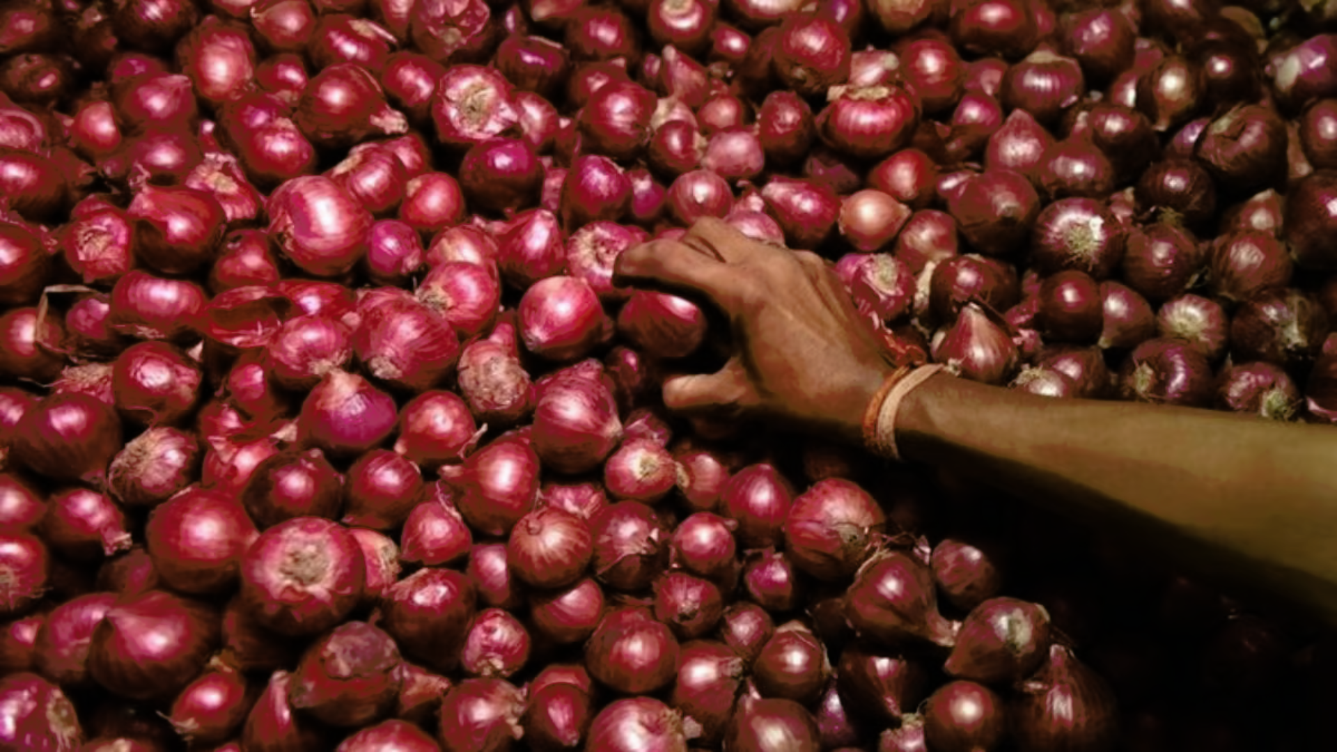 Government Lifts Ban on Onion Exports, Bringing Relief to Traders
