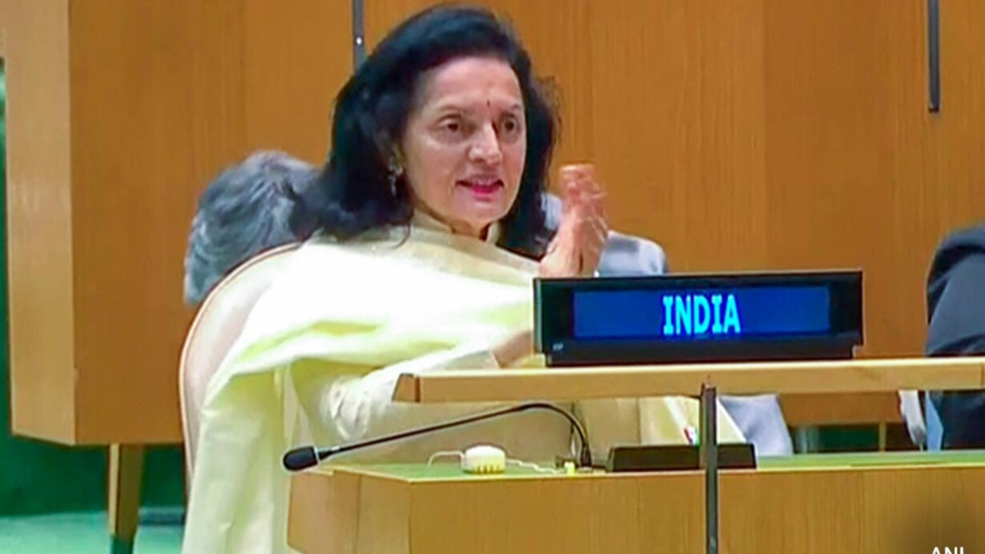 Ruchira Kamboj calls for inclusive UN Security Council Reform