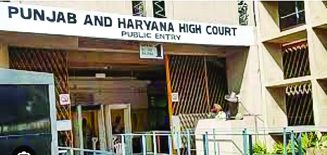 Punjab and Haryana High Court issues notice over construction near river affecting 15 villages
