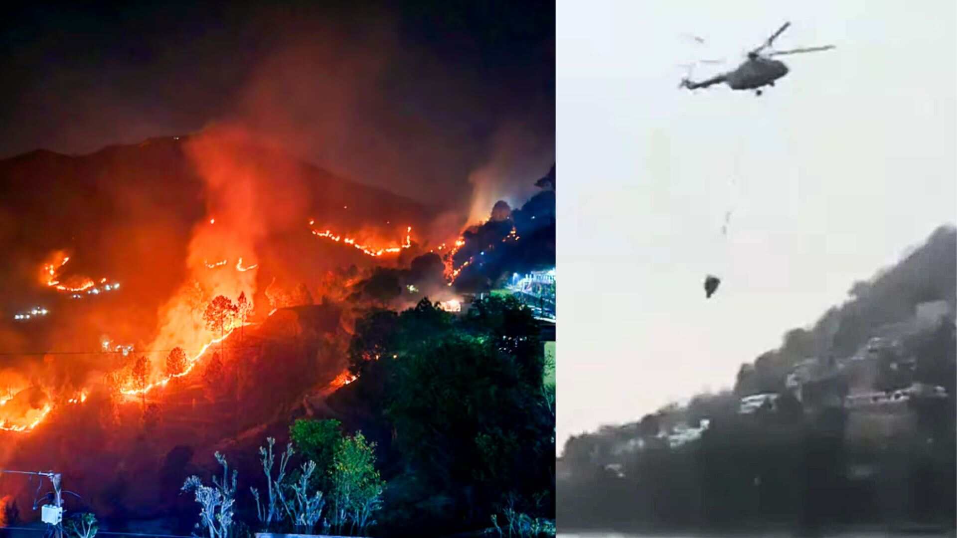 Nainital Forest Fire: Uttarakhand CM calls Army to extinguish blaze