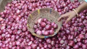 Onions At Rs 80 Per Kg In Delhi And Mumbai: What’s Behind the Steep Price Hike?