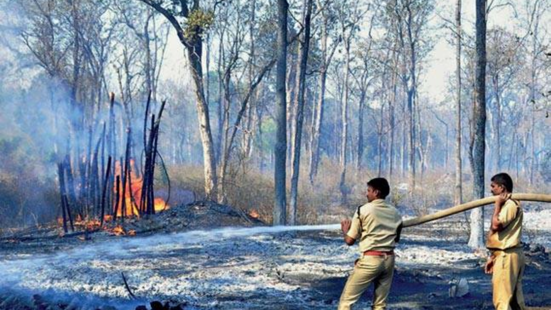 Kerela forest fire in Wayanad