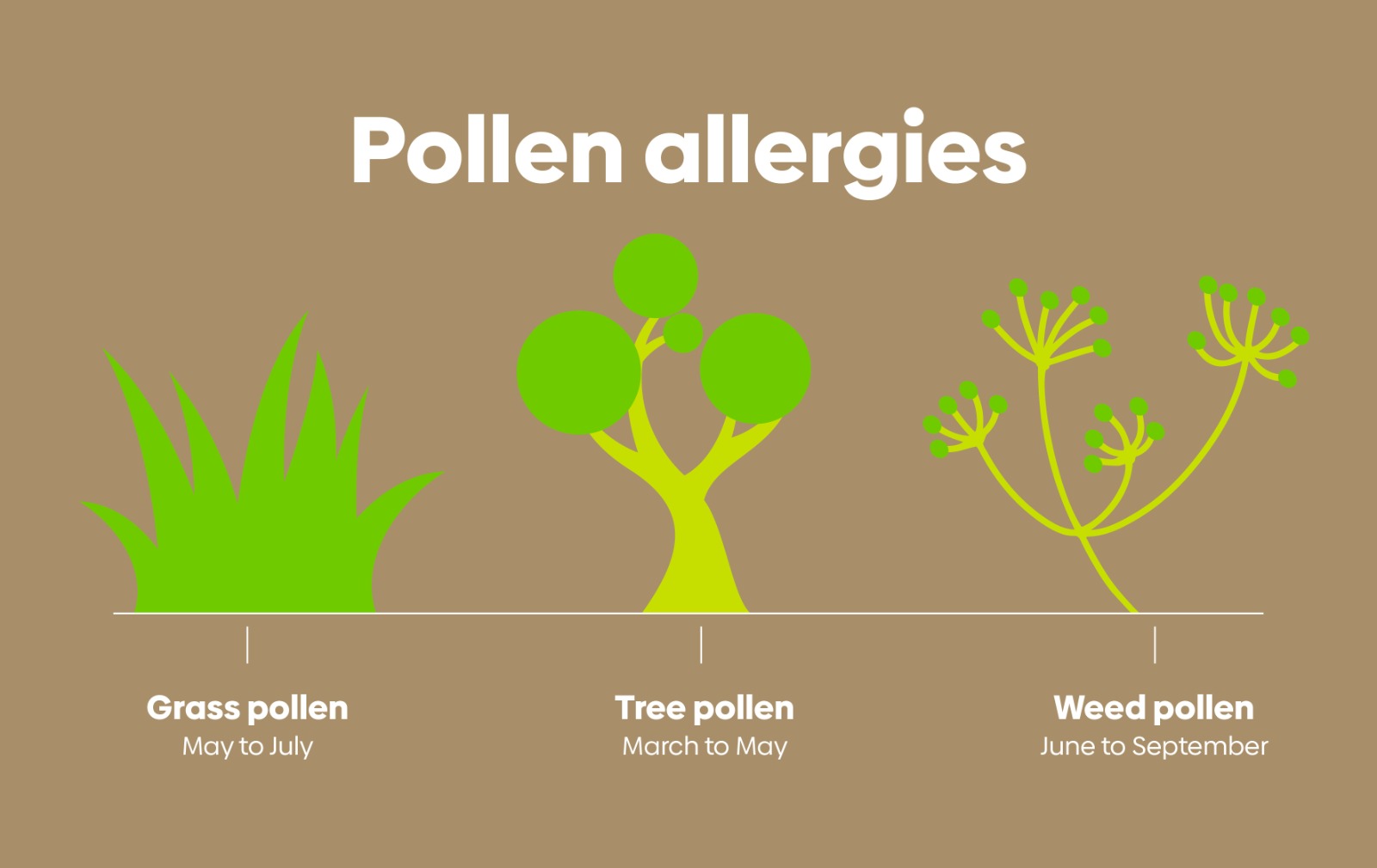 Beyond the Blooms: Understanding and Managing Pollen Allergies