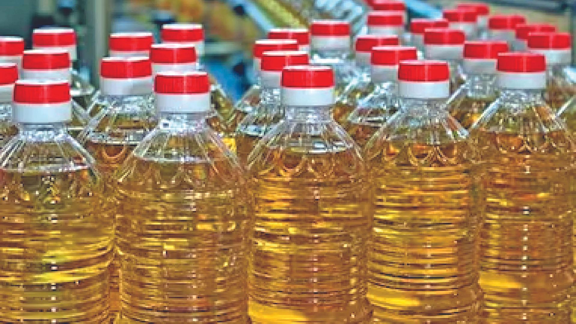 Imports of vegetable oils during November-March decline by 17% volume-wise