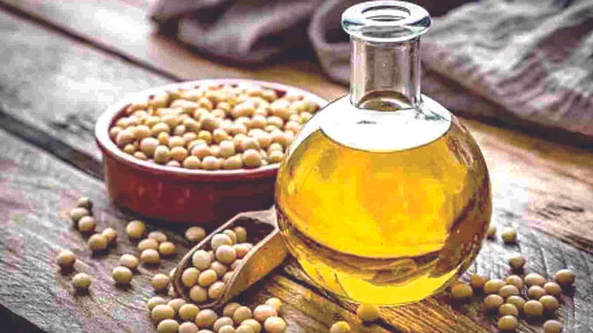 Highest ever Exports of Oilmeals in 2023-24