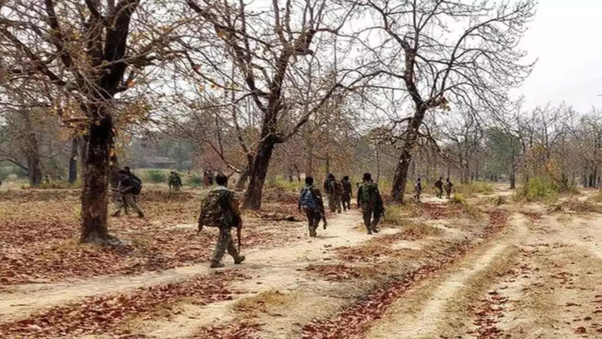 Bijapur Encounter: 10 Naxals Killed, Including Female Member, Confirms Bastar IG