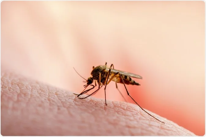 What exactly is Malaria and How is it transmitted?
