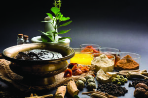 Enhancing Gut Health, Immunity, and Well-Being Through Ayurveda