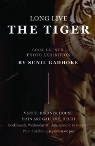 Embark on a safari of the soul with “LONG LIVE THE TIGER”