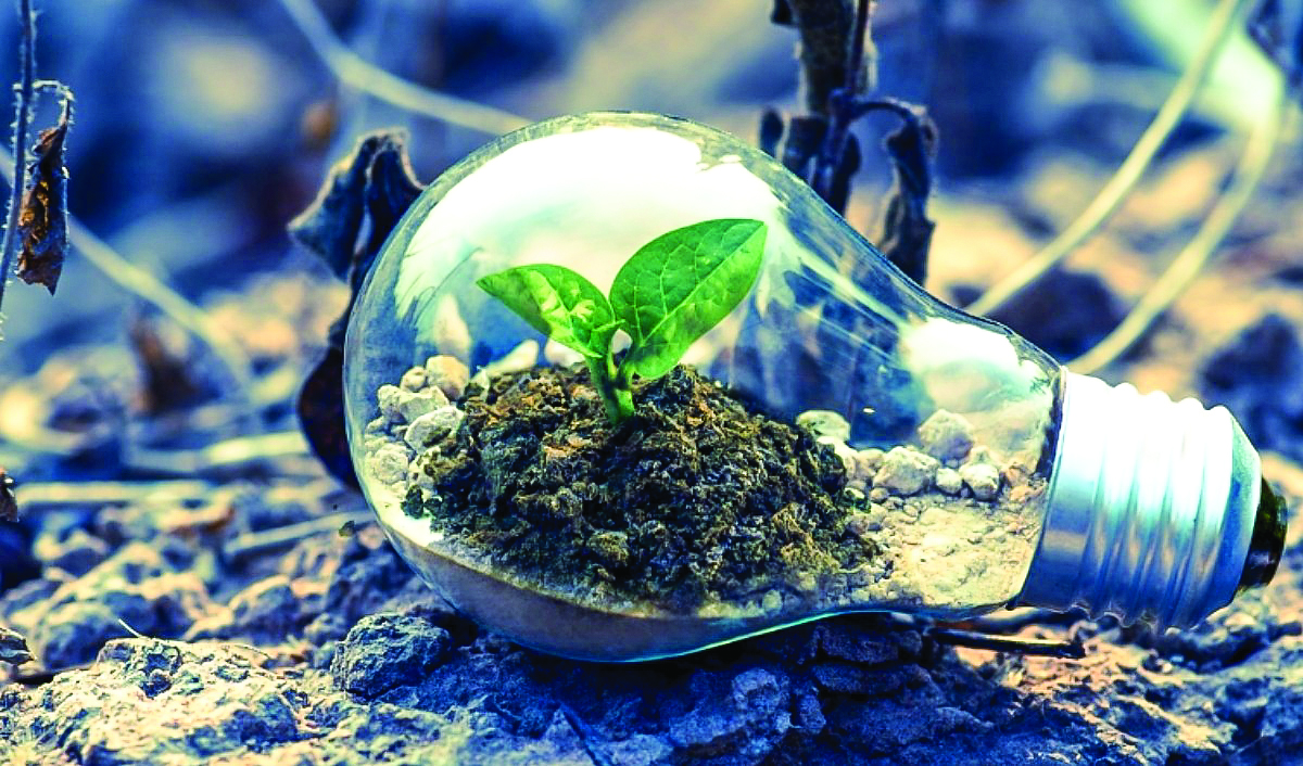 Waste to Wonder: The revolutionary role of sustainable tech startups