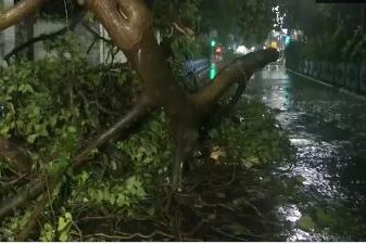 Cyclone Remal Makes Landfall, Authorities Engaged in Clearing Uprooted Trees in Kolkata Amid Rainfall