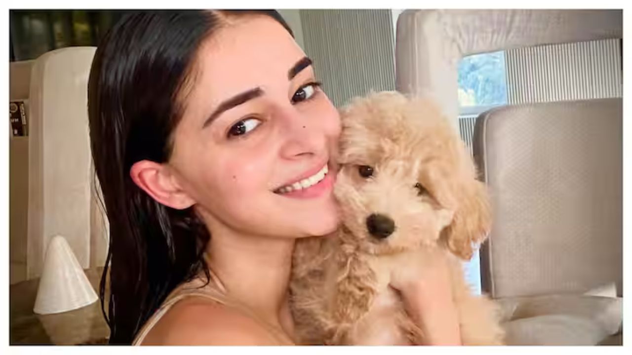 Ananya Panday Unveils New Furry Family Member: Meet Riot!