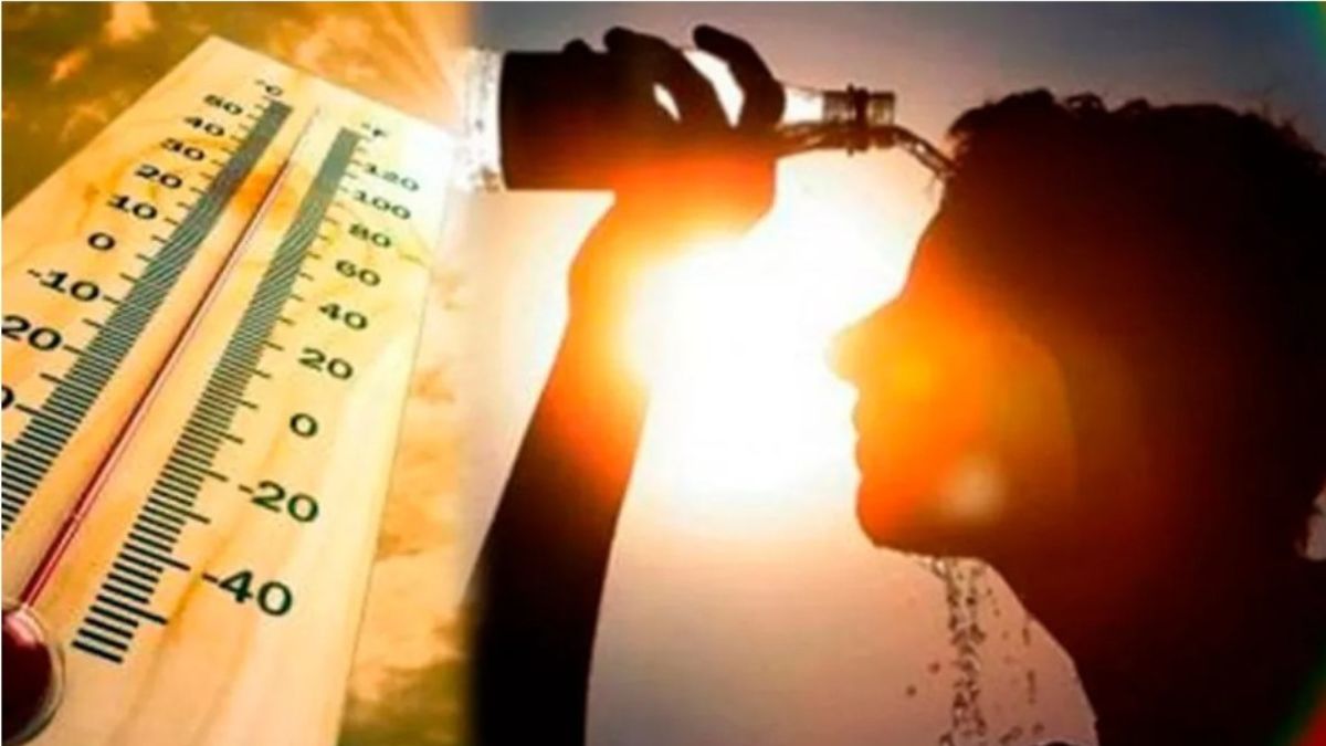 Heatwave Defied: 5 Western Disturbances Keep Temperatures in Check