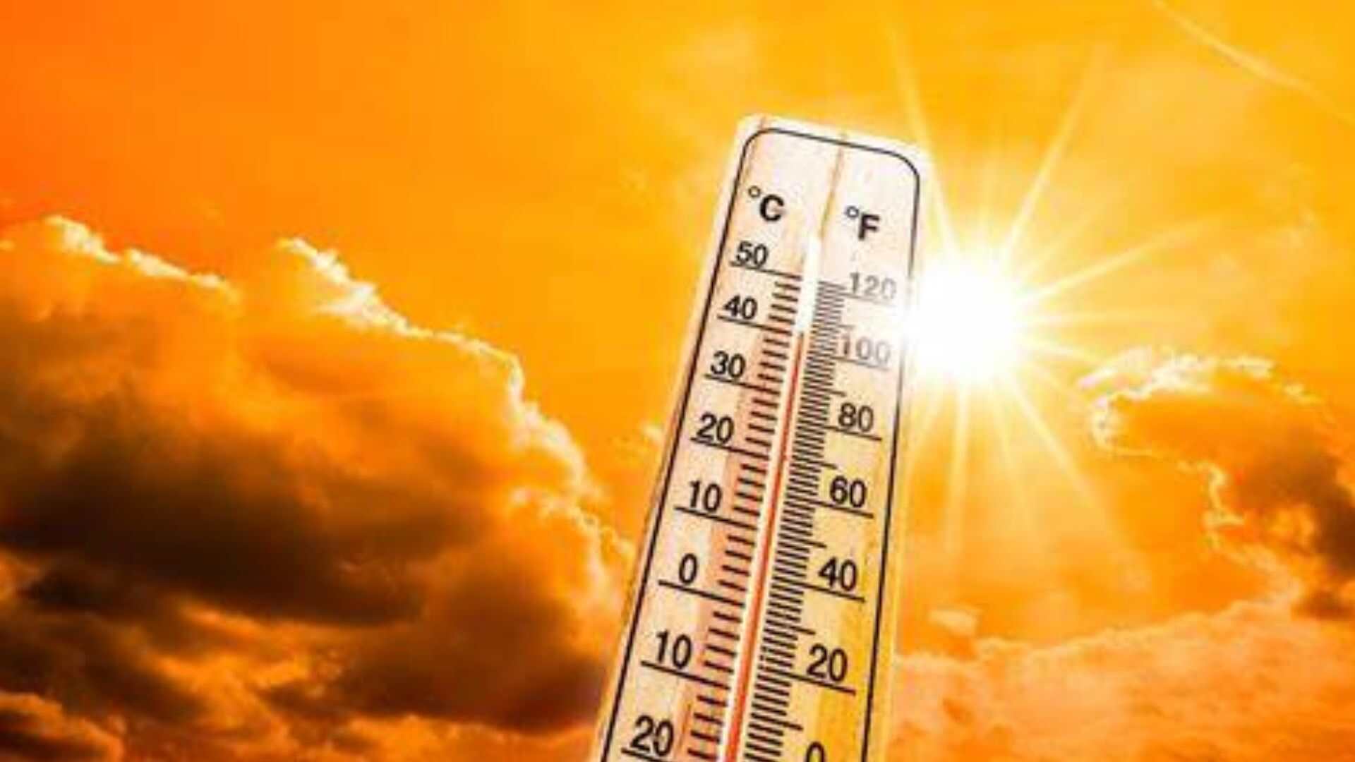 Scorching Heatwave:  Cities Break Records In India, Temperatures Exceed 50 Degrees Celsius