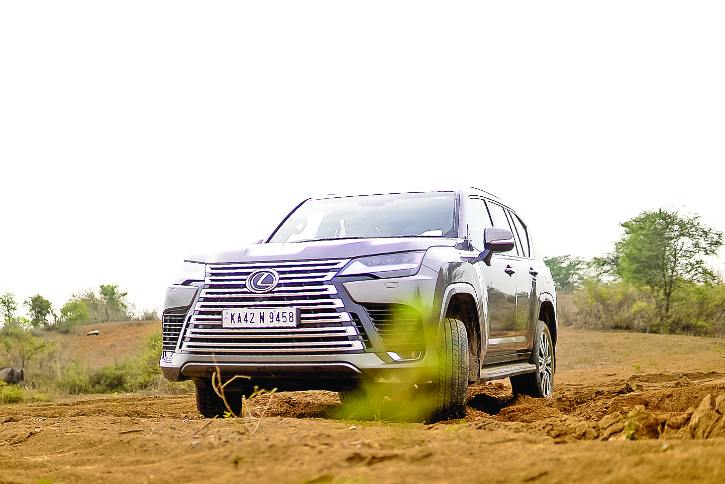 Lexus LX500d Review: The Most Dependable Luxury 4×4 in the World?