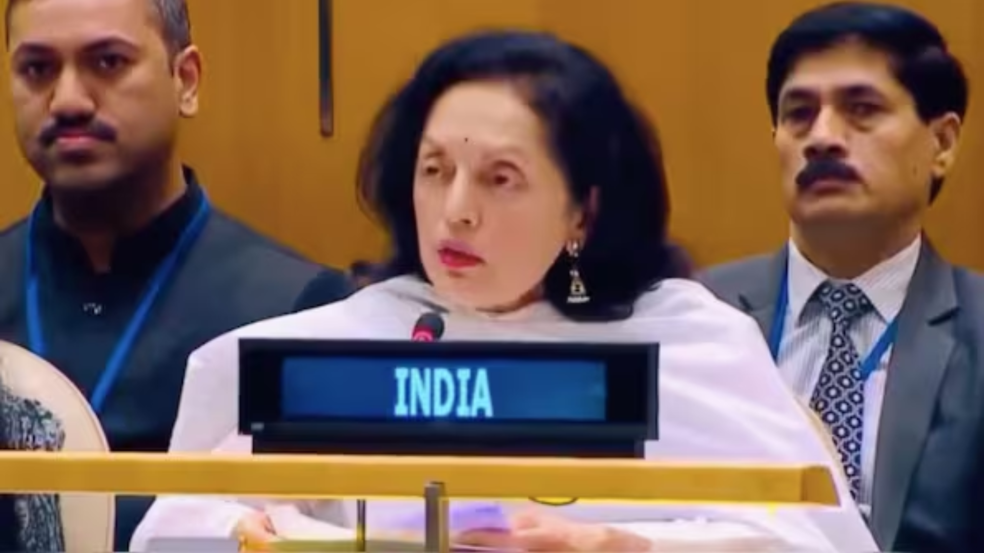 India Slams Pakistan at UNGA Over CAA, Ram Temple Remarks