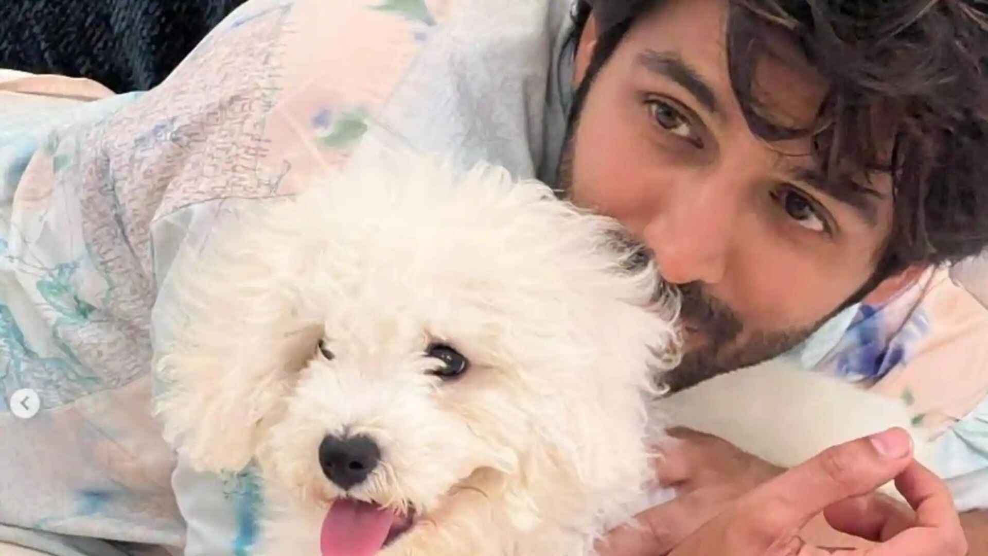 Kartik Aaryan Posts Delightful Clip Of His Fluffy Friend Katori