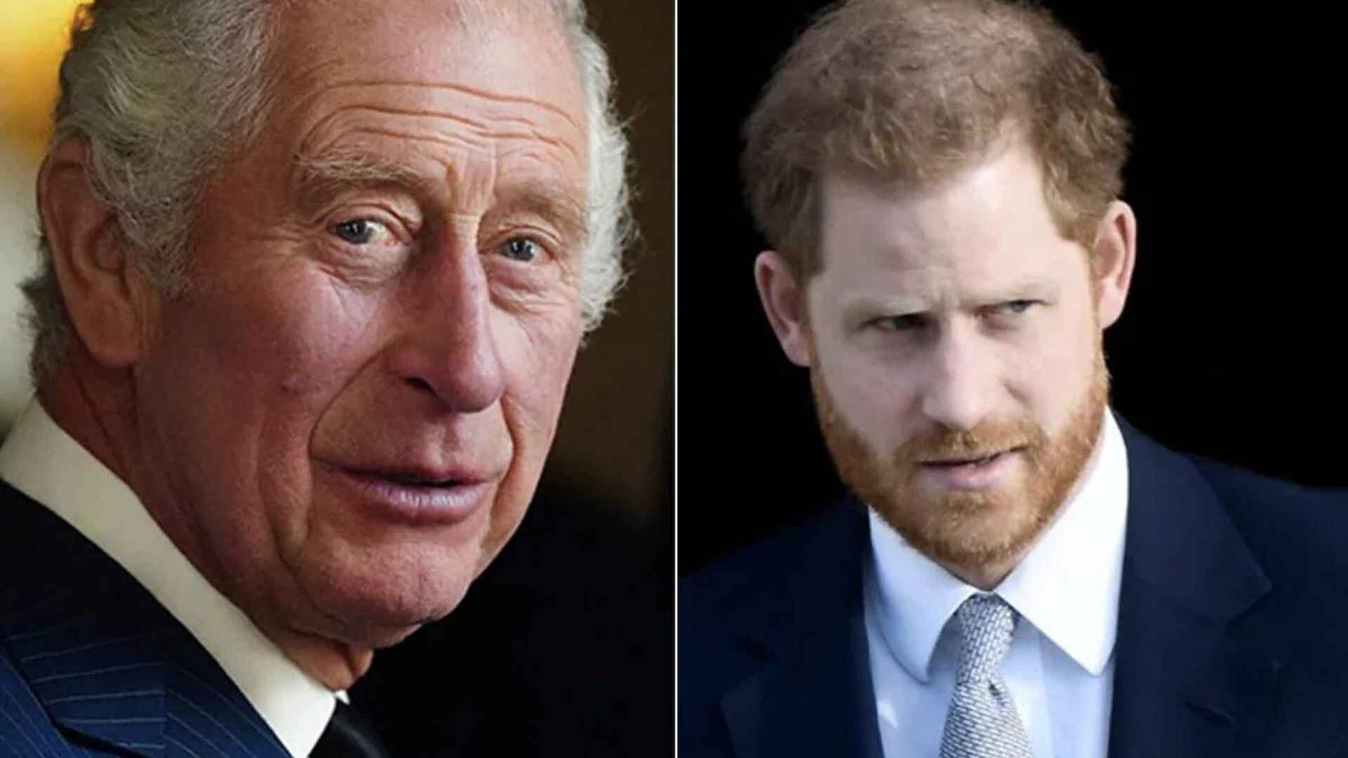 King Charles (L), Prince Harry (R) (Courtesy: NDTV)
