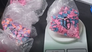 NCB Seizes 1.5 kg MDMA Pills At Delhi Post Office, Arrests Two Individuals