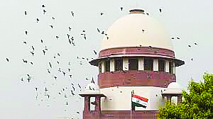 SC to hear plea for timely voter turnout data in LS polls on May 17